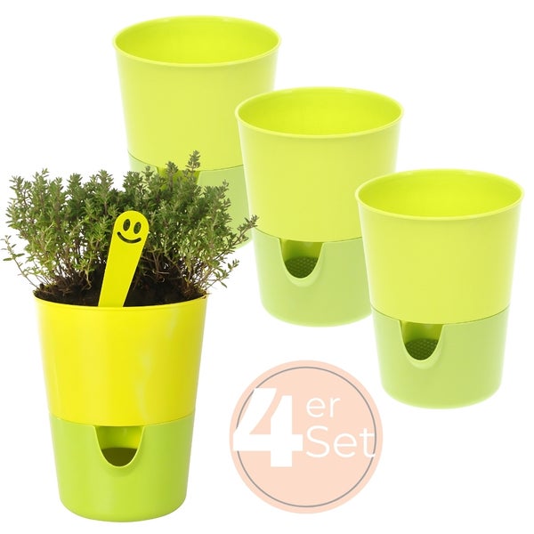 Vierteiliges Set Bewässerungstöpfe mit Kräutern und Pflanzenstecker