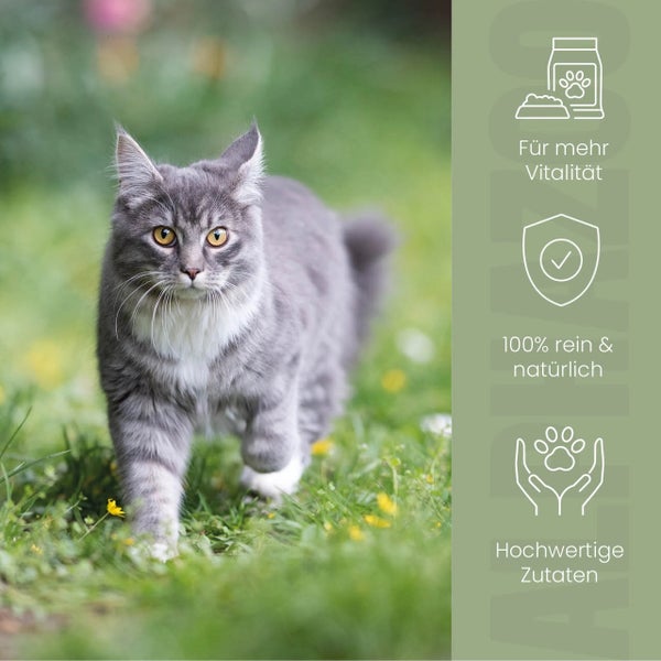 Graue Katze im Gras, daneben Symbole für mehr Vitalität, 100 Prozent rein und natürlich sowie hochwertige Zutaten