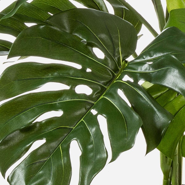 Nahaufnahme der grünen Blätter einer künstlichen Monstera-Pflanze mit charakteristischen Einschnitten und Löchern.