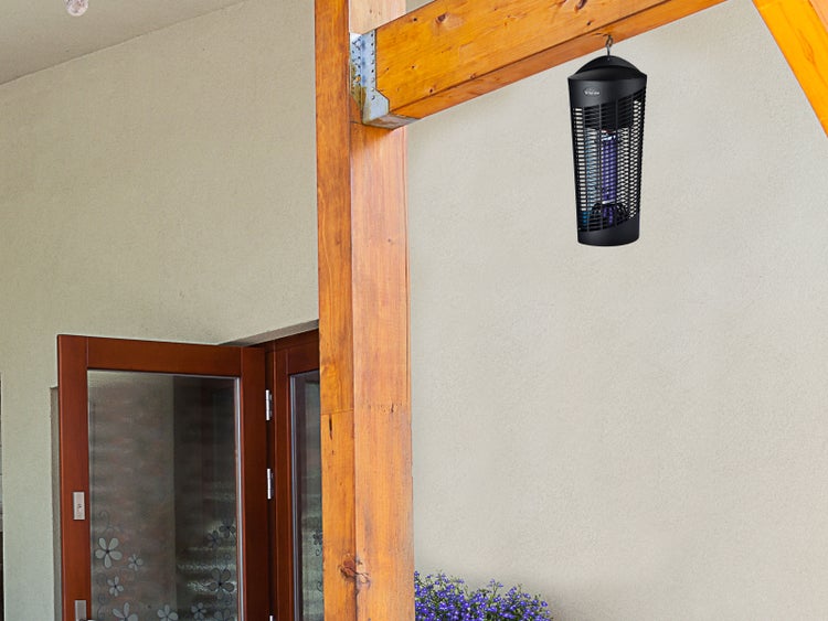 Eine hängende Insektenfalle an einem Holzrahmen im Freien