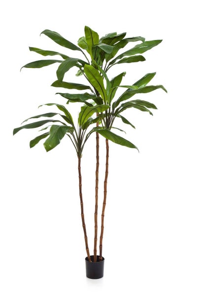 Künstliche Cordyline KAIA, 42 Blätter, grün, 240cm - Künstlicher Baum - Kunstpflanze