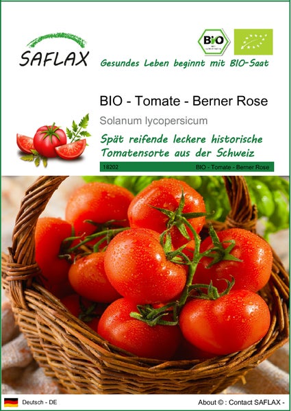 SAFLAX  - BIO - Tomate - Berner Rose - Solanum lycopersicum - 10 Samen