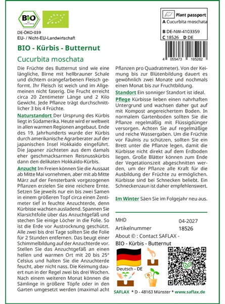 SAFLAX Garden to go - BIO - Kürbis - Butternut - Cucurbita moschata - 6 Samen - Mit Topf, Klima - Deckel und Anzuchtsubstrat