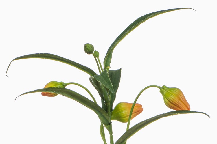 Künstliche Lilie mit grünen Blättern und geschlossenen orange-grünen Knospen.
