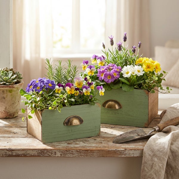Pflanzkasten Holz Shabby Dekoschubladen 22/18cm 2er Set
