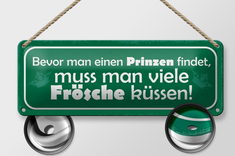 Blechschild Spruch 27x10cm bevor man Prinzen viele Frösche Dekoration