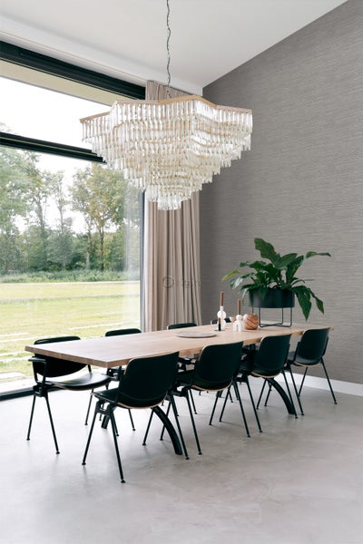 Esszimmer mit Esstisch, Stühlen, Kristalllüster und Zimmerpflanze