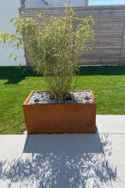 Rechteckiger Pflanzkübel aus Corten-Stahl mit einer Bambuspflanze auf einer Terrasse neben einem Rasen.