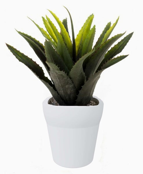 Künstliche Aloe Vera Pflanze mit gezackten grünen Blättern.