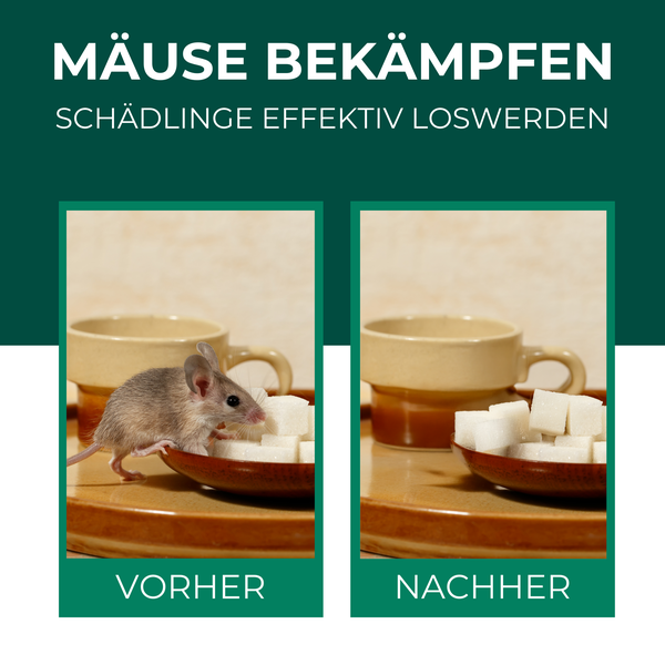 Silberkraft Mäuseabwehr Spray 500 ml, Mäuse zuverlässig fernhalten, Effektive Sofortwirkung, Repellent gegen Mäusebefall, Ideal für Keller, Garage, Haus und Garten