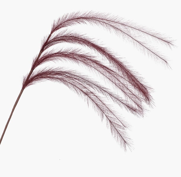 Künstlicher Pampasgraswedel in Dunkelrot mit mehreren gefiederten Ähren.