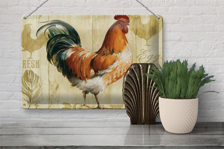 Blechschild Spruch 30x20cm Huhn Hühner Eggs frische Eier
