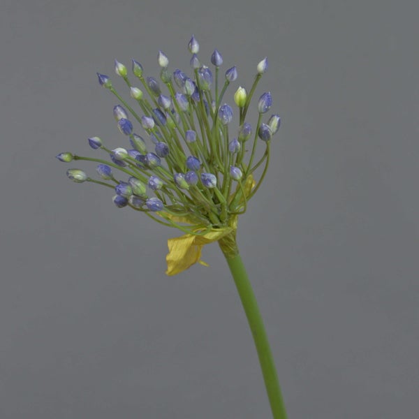 Künstlicher Dekozweig mit orangefarbenen Blüten.