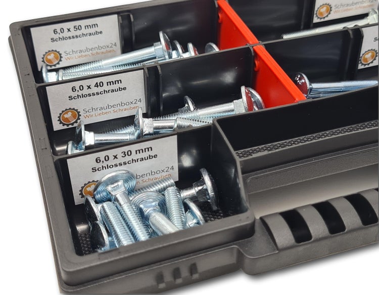 Flachkopfschrauben Sortiment M5-M6 // 30mm-50mm 60 tlg. Schraubenbox DIN 603 Bolzen Vollgewindeschrauben Maschinenschrauben Gewindeschrauben Flachkopfschrauben