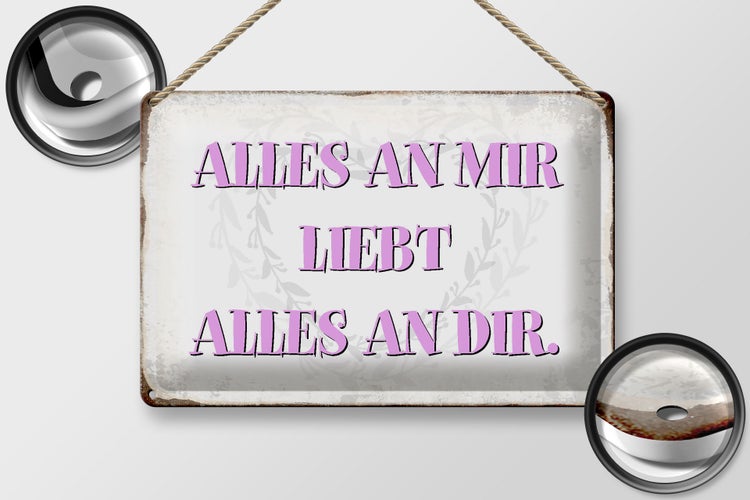 Blechschild Spruch 30x20cm alles an mir liebt alles an dir