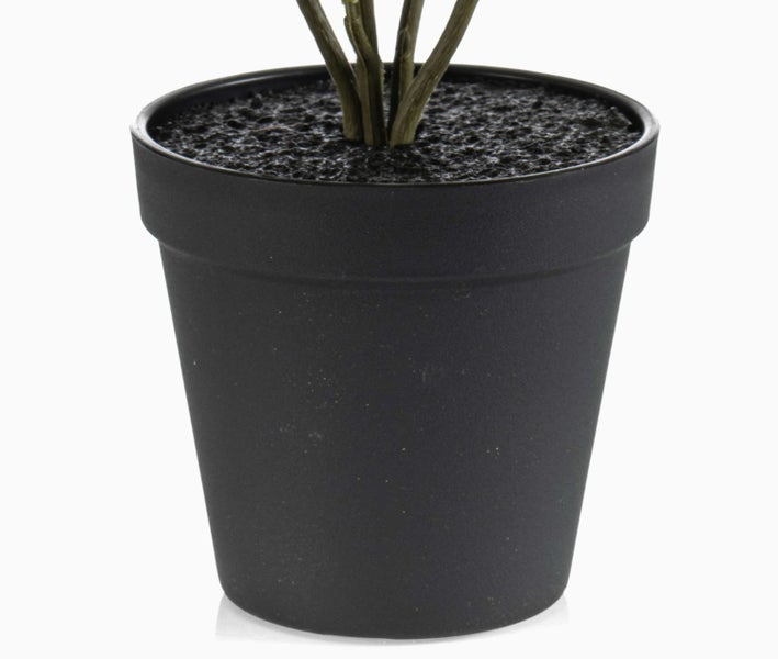 Schwarzer Blumentopf aus Kunststoff mit Pflanzenstielen und dunkler Erde.