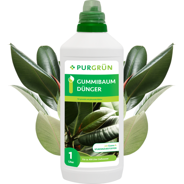 Purgrün Gummibaum-Dünger 1 Liter