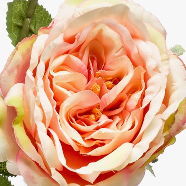 Künstliche Rose Kunstblume in Rosa Detailaufnahme der Blüte mit vielen Blütenblättern und grünem Blatt.