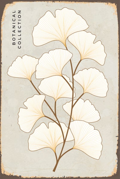 Wandbild Poster mit Ginkgo Biloba Zweig Illustration, Linienzeichnung und Schriftzug Botanical Collection im Vintage Stil.