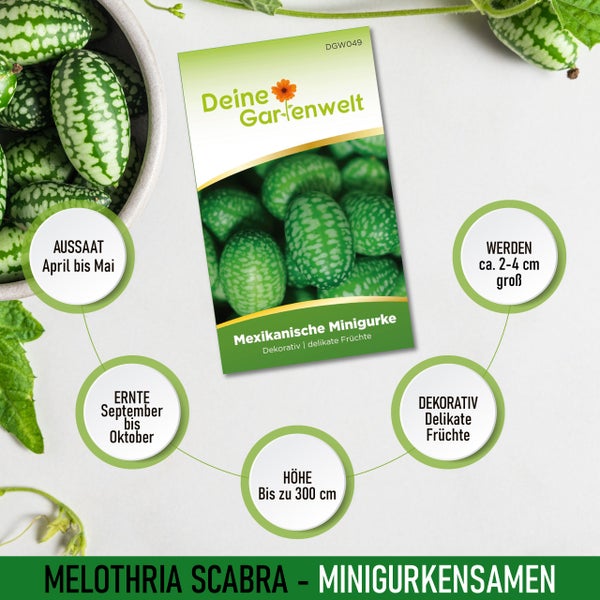 Samen Mexikanische Minigurke Melothria scabra, Deine Gartenwelt Logo. Aussaat April bis Mai, Ernte September bis Oktober, Höhe bis 300 Zentimeter.