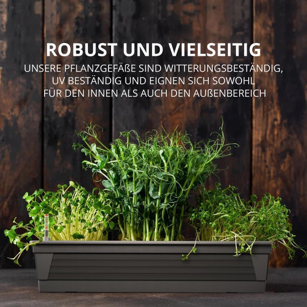 Plastard Blumenkasten Anthrazit 80x21x17 cm mit Hydroeinsatz und Wasserstandsanzeiger Pflanzkasten Balkonkasten
