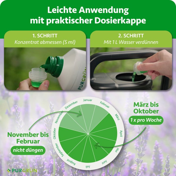 Anwendung Purgrün: 5 Milliliter Konzentrat mit 1 Liter Wasser mischen. Von März bis Oktober wöchentlich düngen. Purgrün Logo.