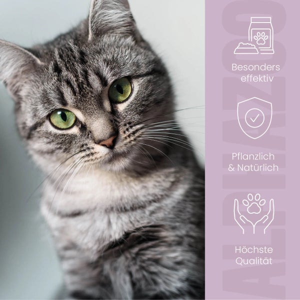 Porträt einer getigerten Katze mit Hinweisen zu einem Katzenfutterprodukt: besonders effektiv, pflanzlich und natürlich, höchste Qualität