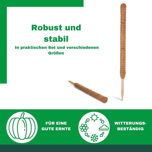 Kokos-Rankstäbe in verschiedenen Größen, robust, stabil und witterungsbeständig für eine gute Ernte.