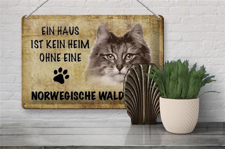 Blechschild Spruch 30x20cm Norvegische Waldkatze ohne kein Heim