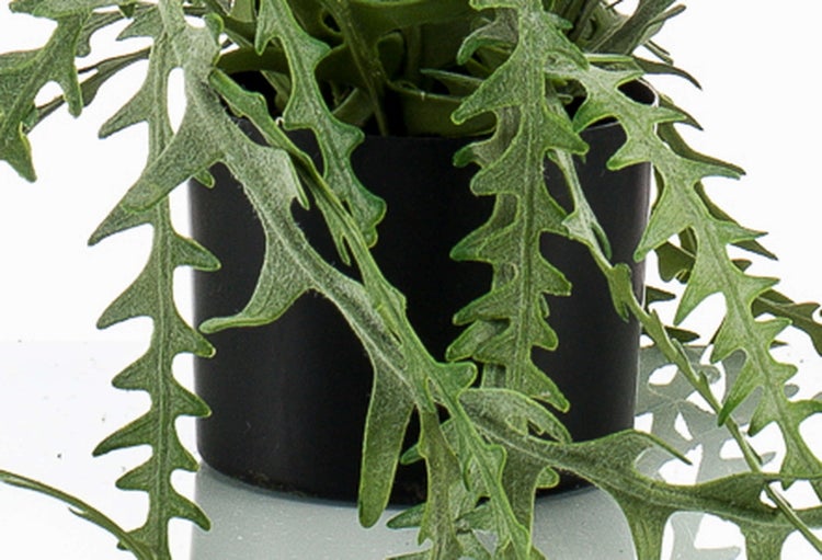 Künstlicher Sägekaktus mit gezackten Blättern in einem schwarzen Topf.