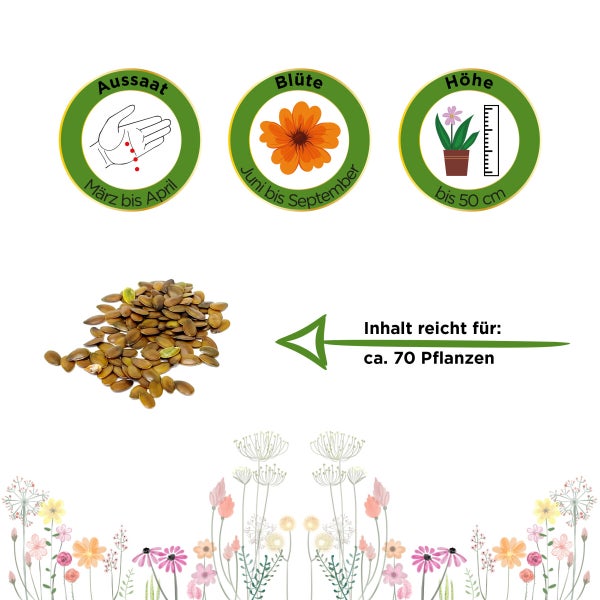 Lein rot Samen von Deine Gartenwelt