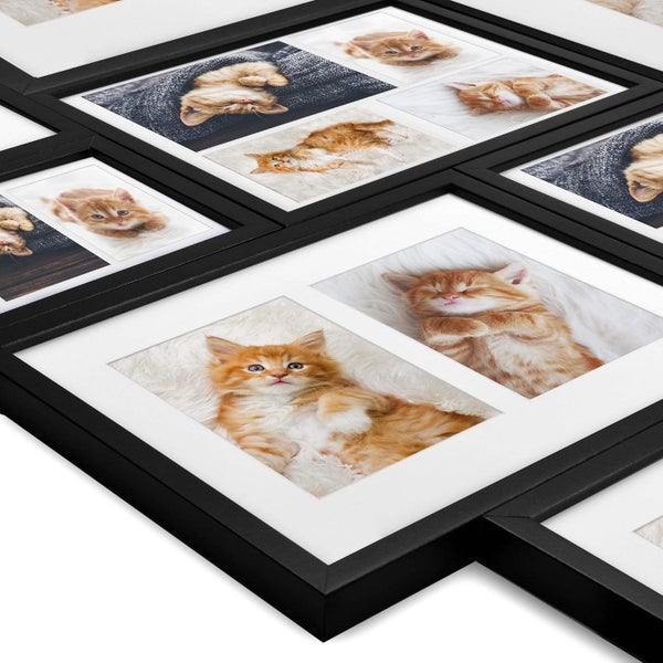 Mehrfach Bilderrahmen in Schwarz mit Passepartout für sechs Fotos mit Katzenmotiven