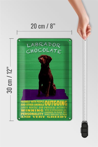Blechschild Spruch 20x30cm Labrador Chocolate Hund