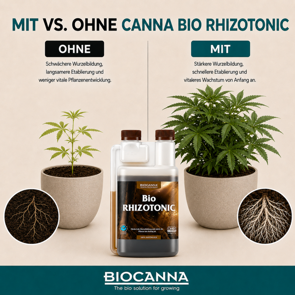 Vergleichsgrafik der Wirkung von Canna Bio Rhizotonic auf Pflanzenwachstum und Wurzelbildung im Vergleich zur Anwendung ohne das Produkt.
