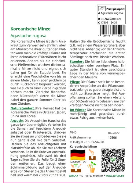 SAFLAX Garden to go - Koreanische Minze - Agastache rugosa - 1200 Samen - Mit Topf, Klima - Deckel und Anzuchtsubstrat