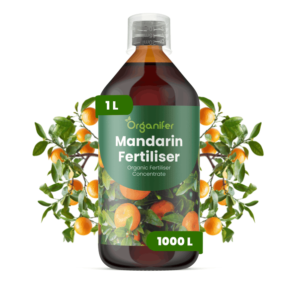 Organifer Mandarinen-Dünger, organisches Düngerkonzentrat in einer 1 Liter Flasche.