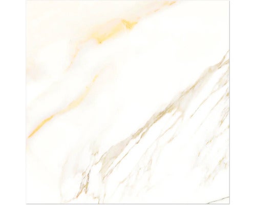 Wand- und Bodenfliese Cava domum 60x60 cm