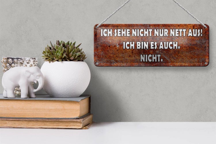 Blechschild Spruch 27x10cm sehe nicht nur nett aus ich bin Dekoration