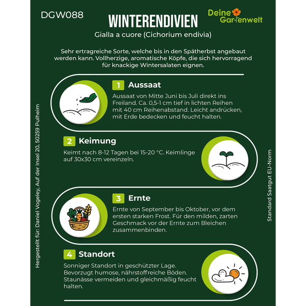 Infografik zu Winterendivien Gialla a cuore mit Deine Gartenwelt Logo und Hinweisen zu Aussaat, Keimung, Ernte und Standort.