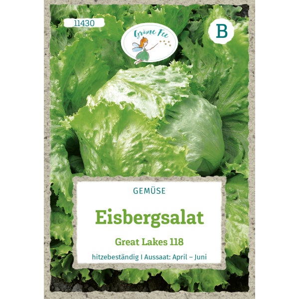 Eisbergsalat Great Lakes Samen von Grüne Fee