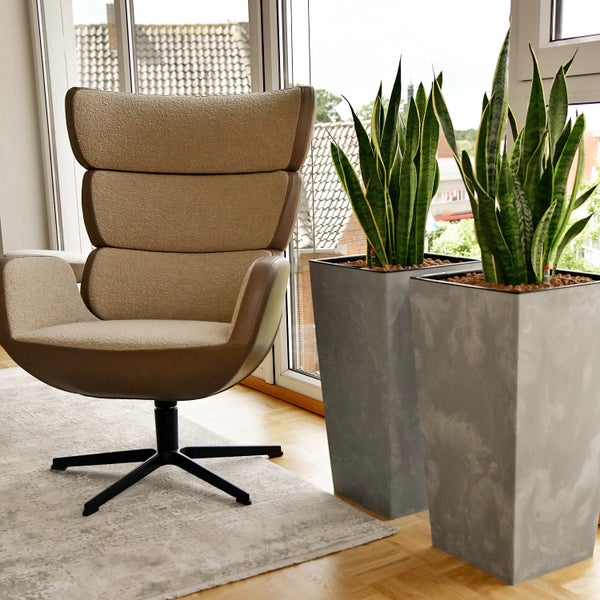 Drehsessel mit zwei hohen Pflanzkübeln im Raum