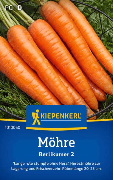 Saatgut für Möhre Berlikumer 2 von Kiepenkerl zur Lagerung und zum Frischverzehr mit 20 bis 25 Zentimeter langen Wurzeln.