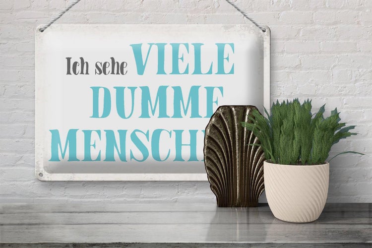 Blechschild Spruch 30x20cm ich sehe viele dumme Menschen