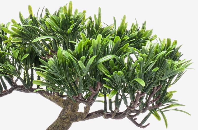 Künstliche Aquariumpflanze in Bonsai-Optik mit strukturiertem braunem Stamm und grünen Nadeln aus Kunststoff.