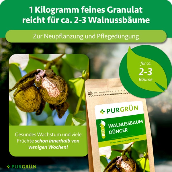 Purgrün Bio Walnussbaum Dünger, 1 Kilogramm für circa 2 bis 3 Bäume, fördert gesundes Wachstum und Fruchtbildung. Purgrün Logo.