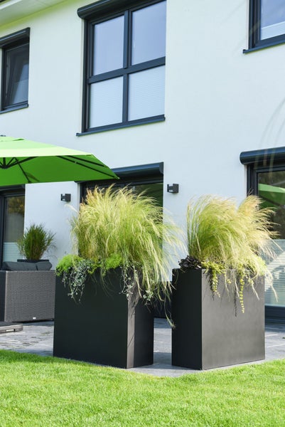 Zwei große schwarze Pflanzkübel mit Ziergräsern auf einer modernen hellen Terrasse vor einer weißen Hausfassade mit grünem Sonnenschirm.