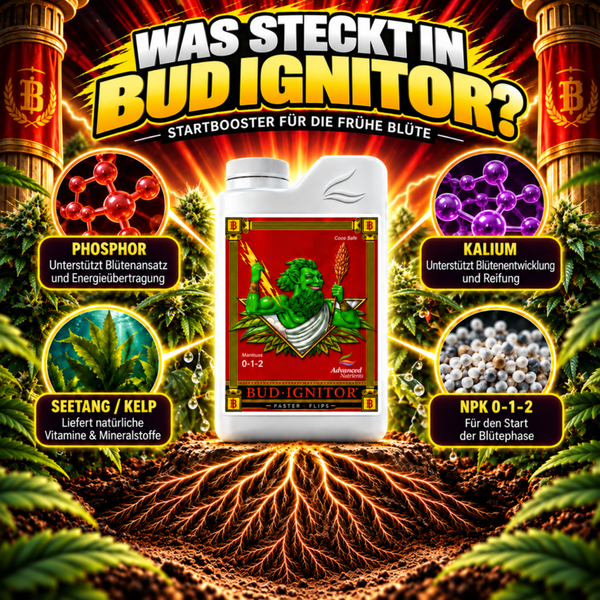 Advanced Nutrients Bud Ignitor Blütestimulator in einer Flasche mit NPK 0 1 2 zur Unterstützung der frühen Blütephase von Pflanzen.
