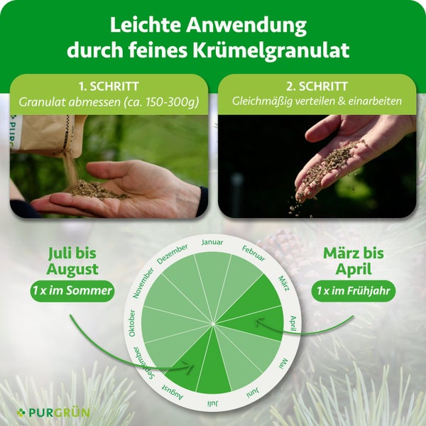 Anleitung Purgrün Dünger: Granulat abmessen (circa 150-300 Gramm) und verteilen. Anwendung im März-April und Juli-August. Purgrün Logo.