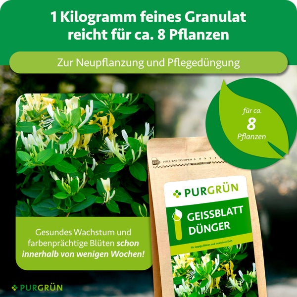 Purgrün Geissblatt Dünger, 1 Kilogramm feines Granulat für circa 8 Pflanzen, zur Neupflanzung und Pflegedüngung.