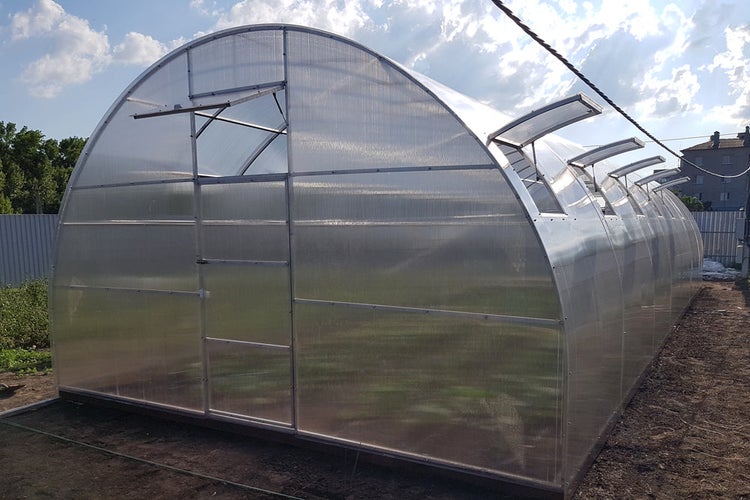 Großes Gewächshaus mit Metallrahmen und Polycarbonatplatten sowie mehreren Dachfenstern im Garten.